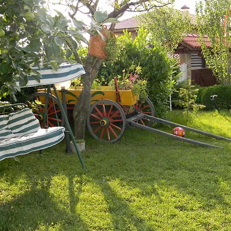 Letuga Holiday Holiday home Sunny Beach