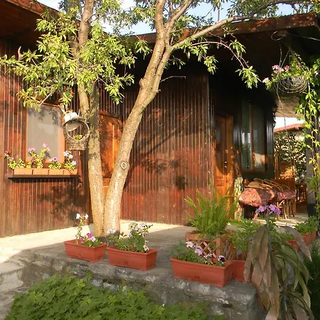 Letuga Holiday Holiday home