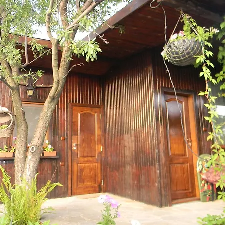 Letuga Holiday Holiday home Sunny Beach