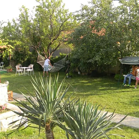 Letuga Holiday * Sunny Beach