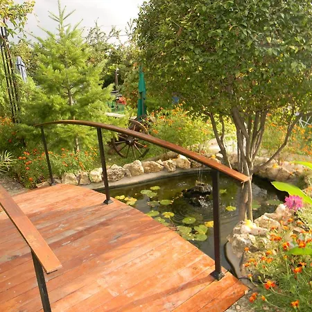 Letuga Holiday Holiday home